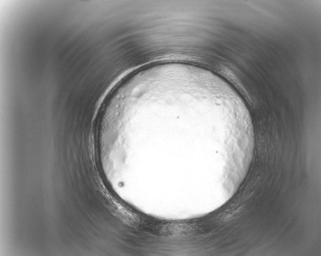 X0000056031092200509170030