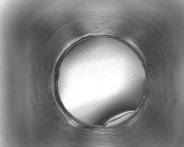 X0000056031093200509170030