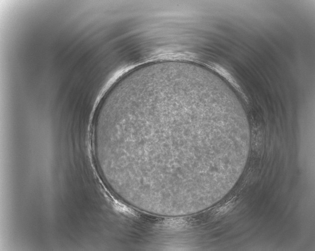 X0000056031094200509170030