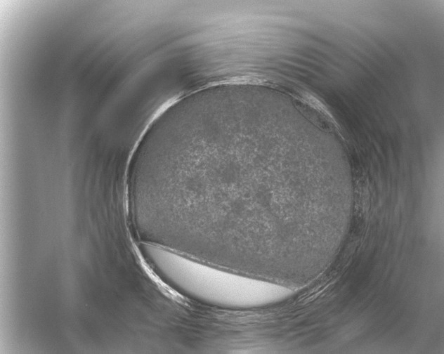 X0000056031095200509170030