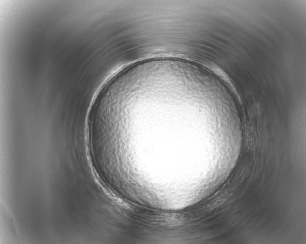 X0000056031096200509170030