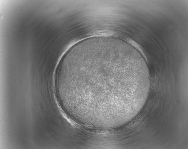 X0000056031099200509170030