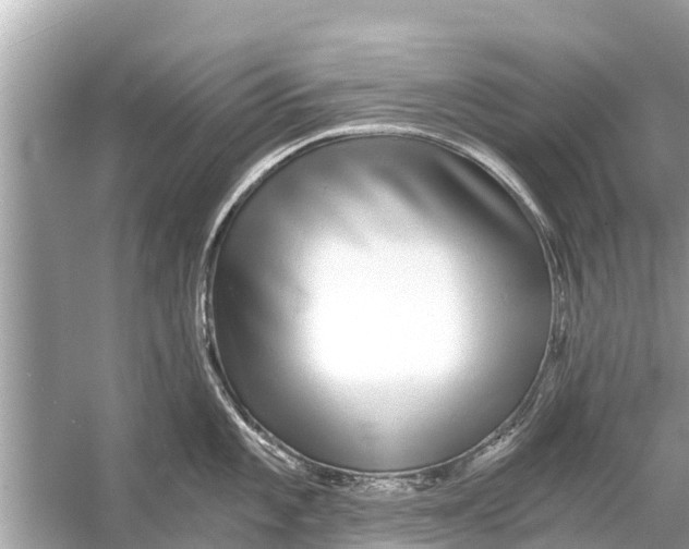 X0000056031101200509170030