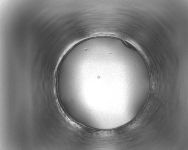 X0000056031102200509170030