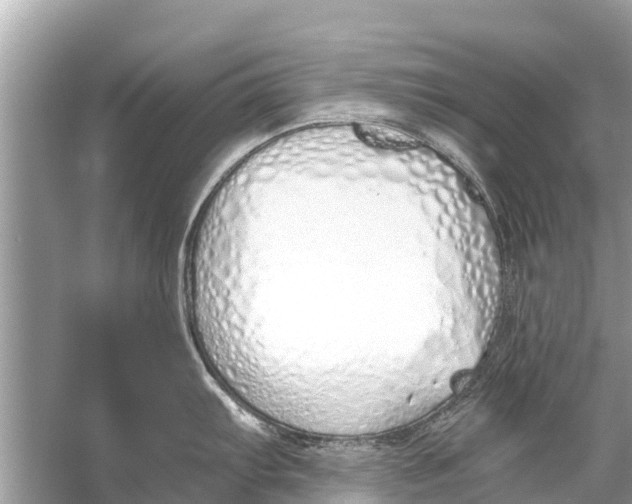 X0000056031103200509170030