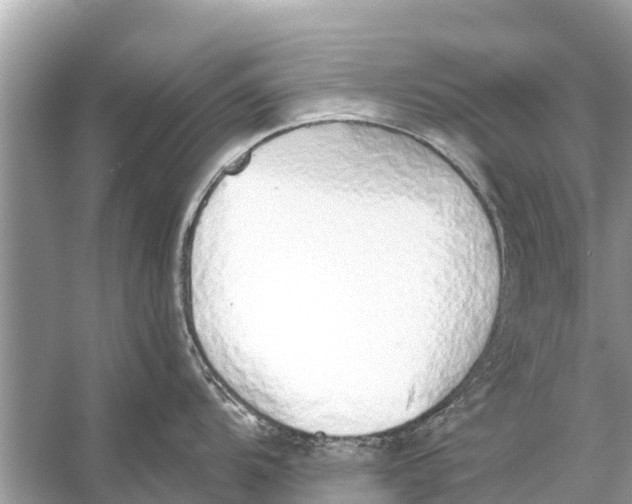 X0000056031104200509170030