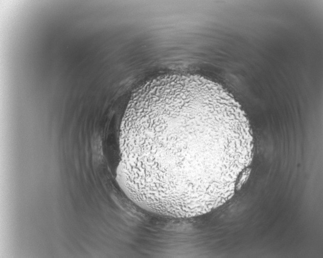 X0000056031106200509170029