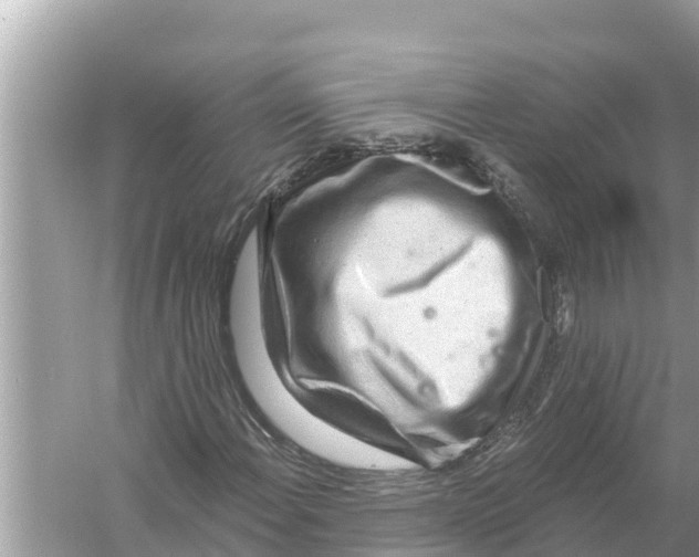 X0000056031108200509170029