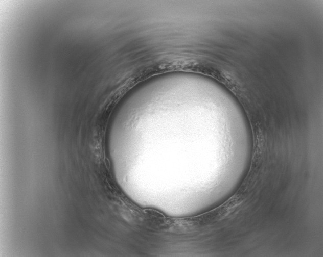 X0000056031109200509170029