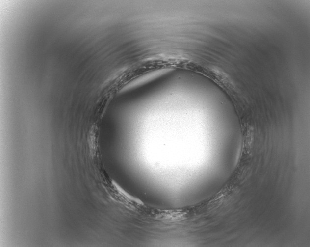 X0000056031110200509170029