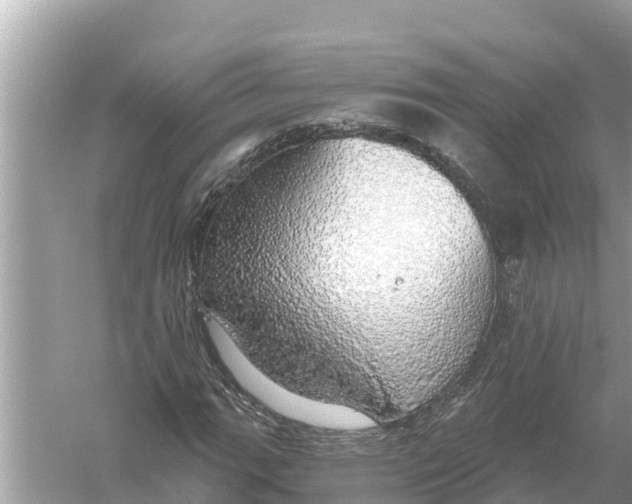 X0000056031111200509170029