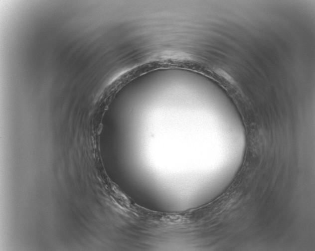 X0000056031112200509170029