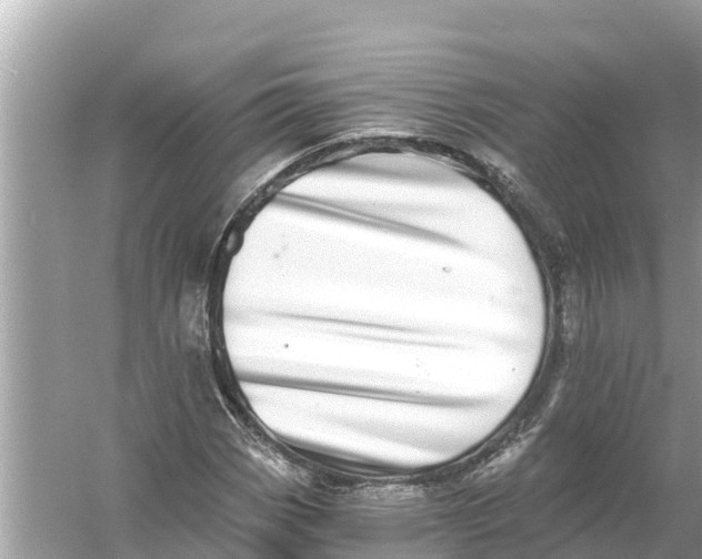 X0000056031113200509170029