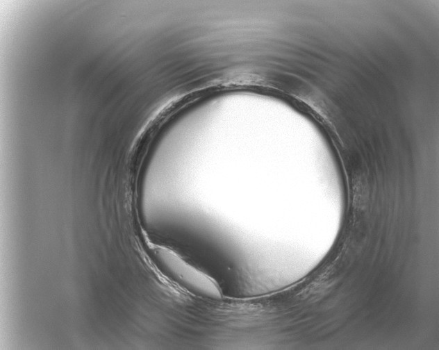 X0000056031115200509170029