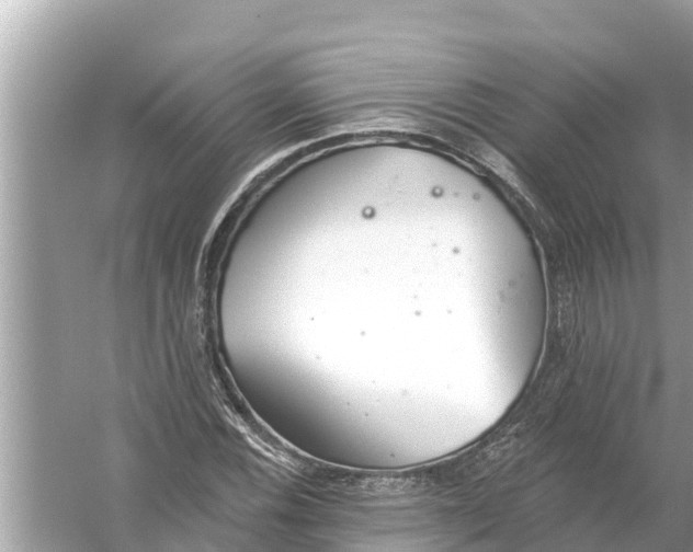 X0000056031116200509170029