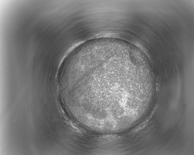 X0000056031117200509170029