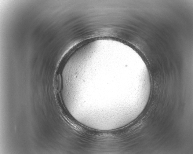 X0000056031119200509170029