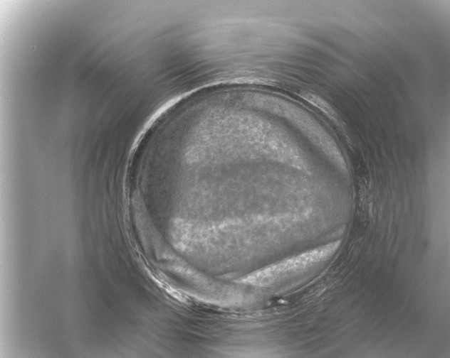 X0000056031120200509170029