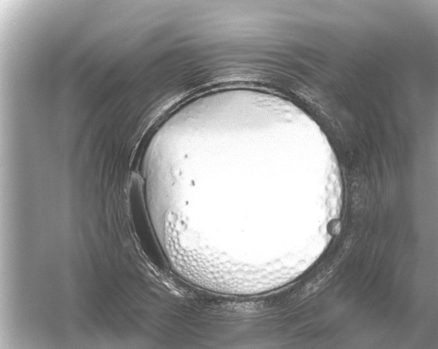 X0000056031121200509170029