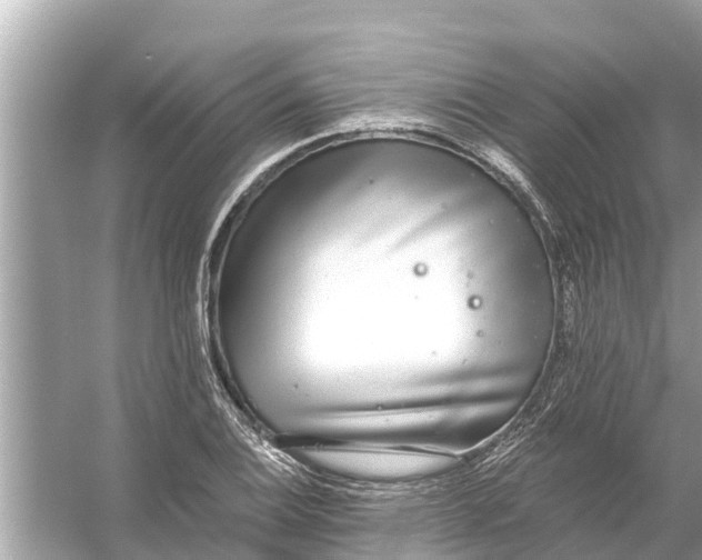 X0000056031124200509170029