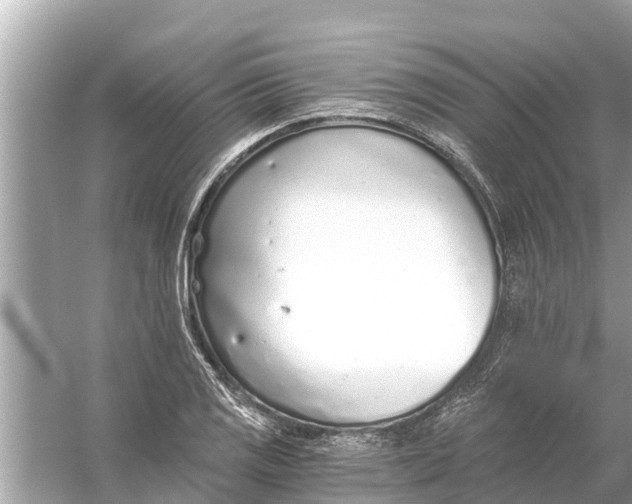 X0000056031125200509170029