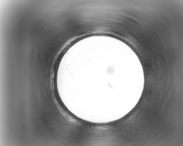 X0000056031126200509170029