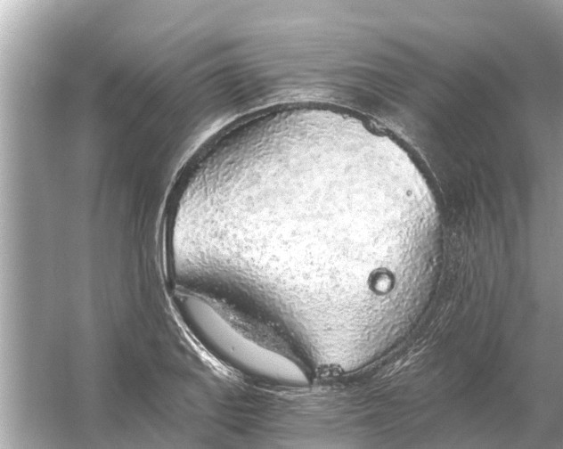 X0000056031127200509170029