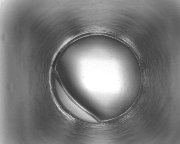 X0000056031128200509170029