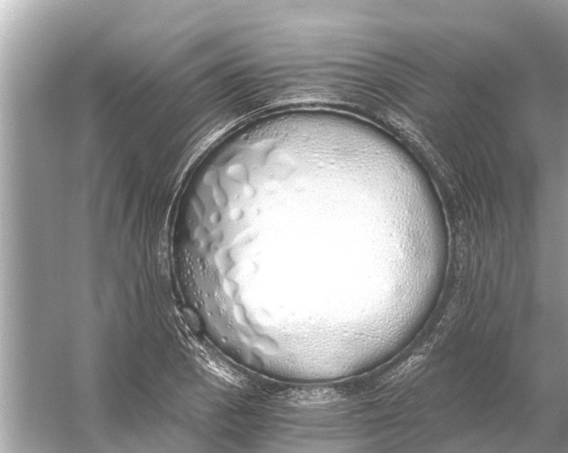 X0000056031129200509170029