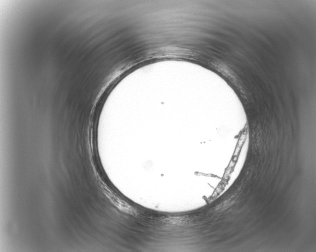 X0000056031130200509170029