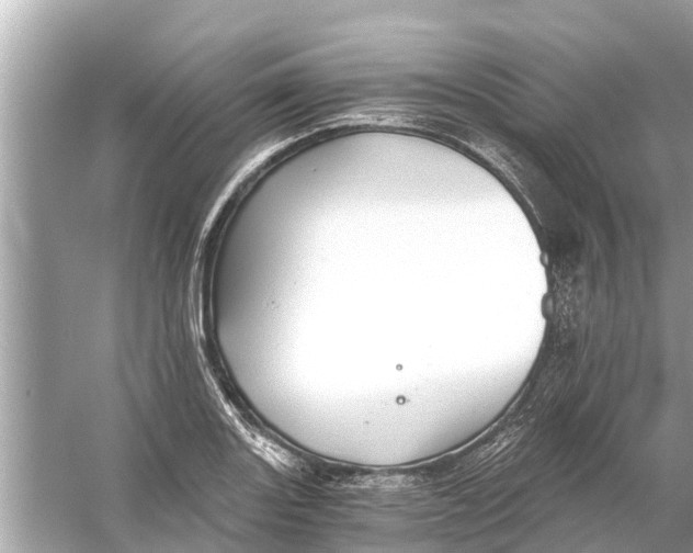 X0000056031131200509170029