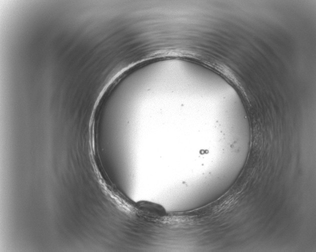 X0000056031132200509170029