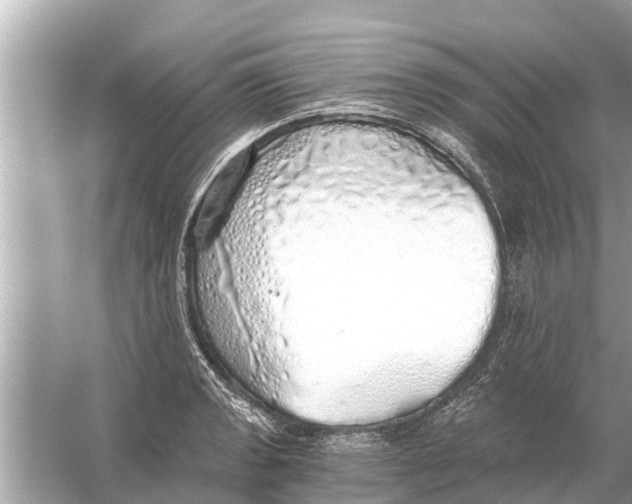 X0000056031133200509170029