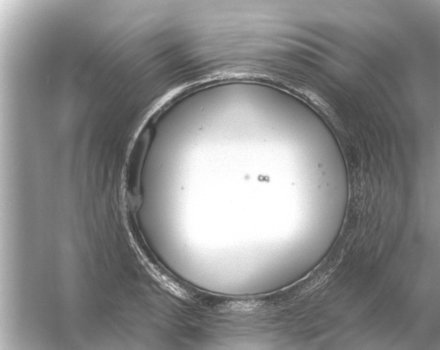 X0000056031134200509170029