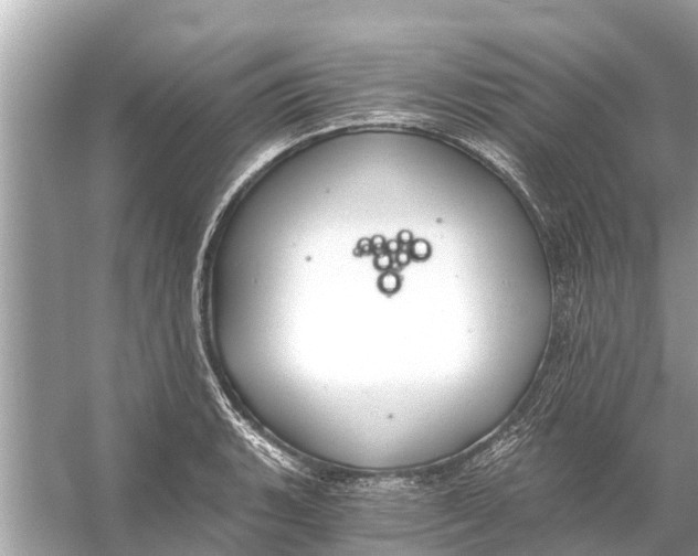 X0000056031135200509170029