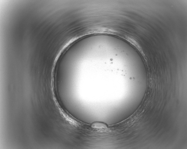 X0000056031136200509170029