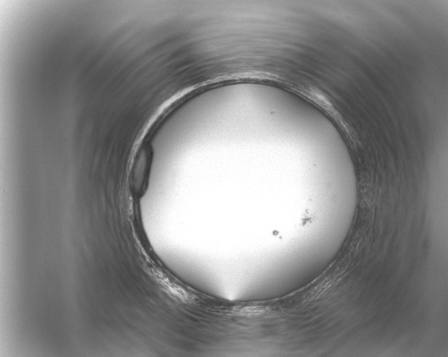 X0000056031140200509170029