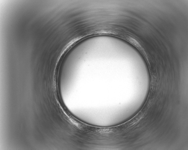 X0000056031141200509170030