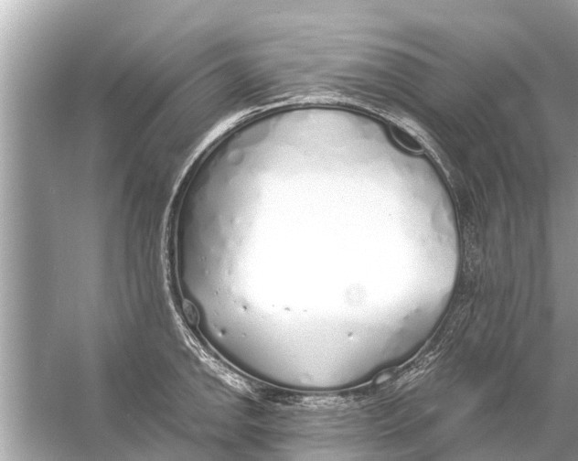 X0000056031142200509170030