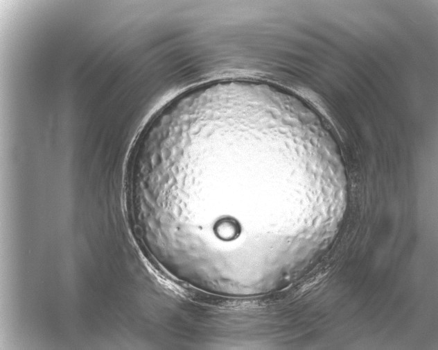 X0000056031143200509170030