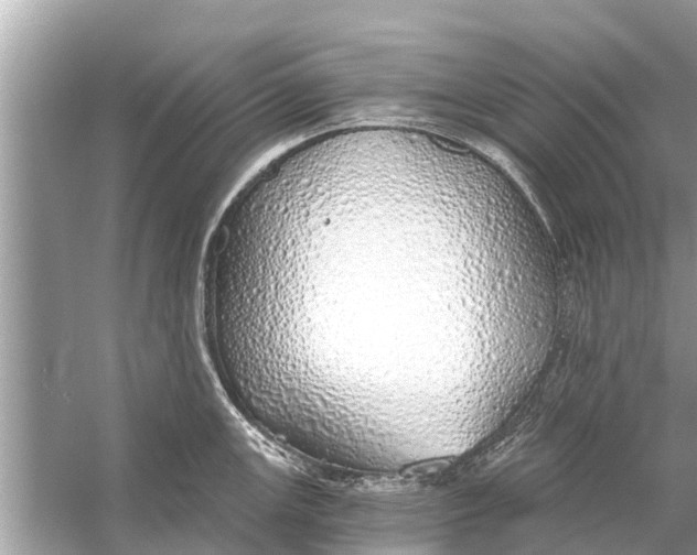 X0000056031147200509170030