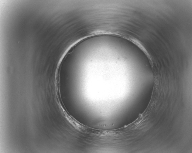 X0000056031148200509170030