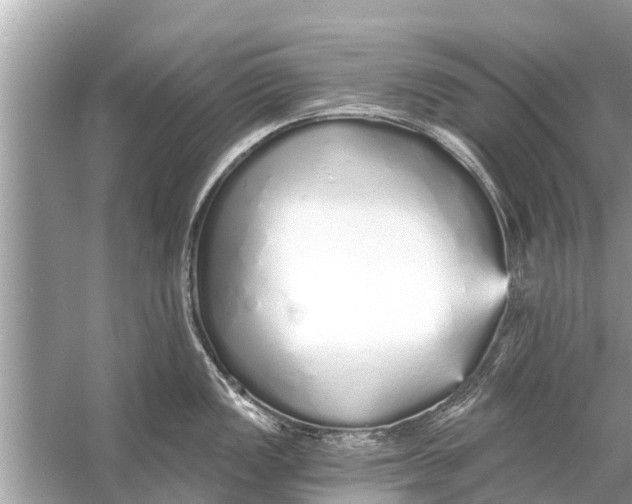 X0000056031149200509170030