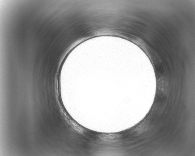 X0000056031150200509170030