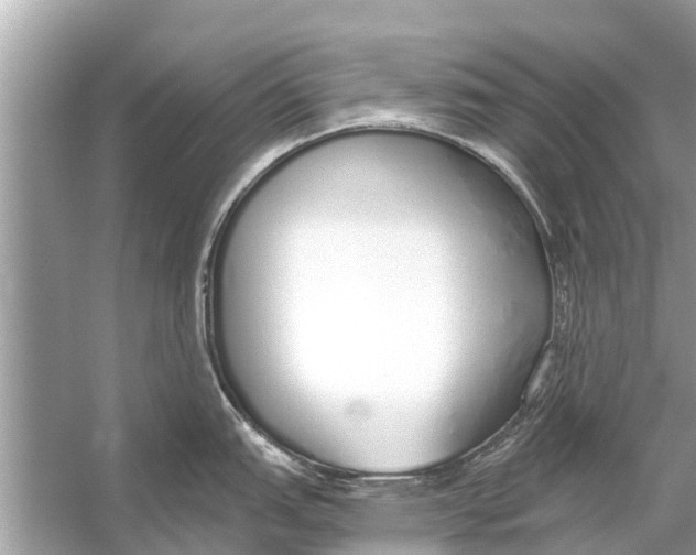 X0000056031151200509170030