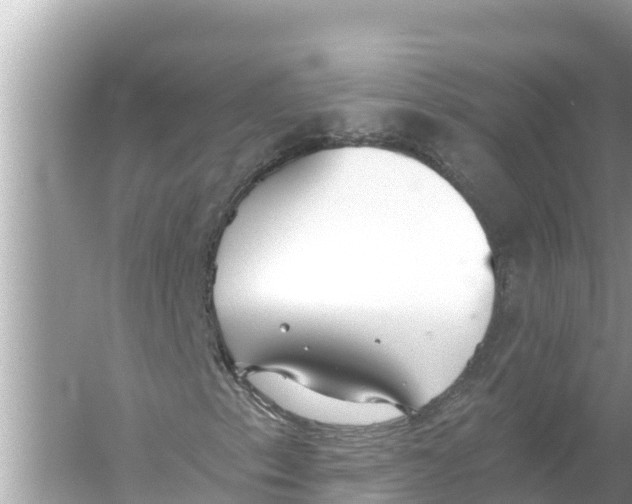 X0000056031153200509170029