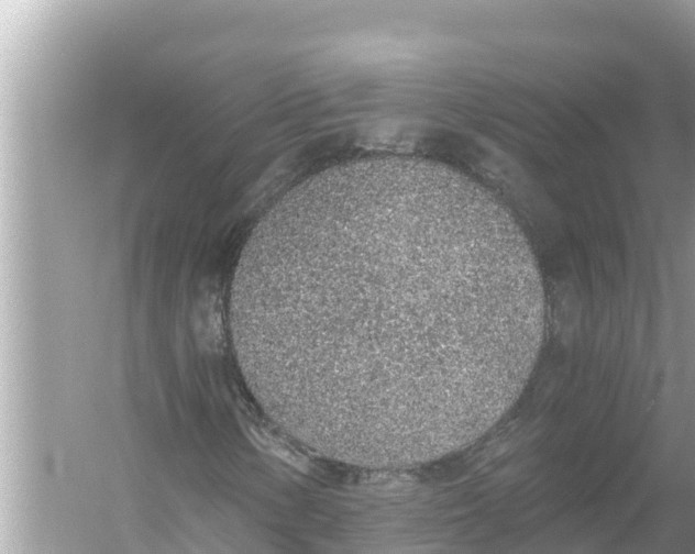 X0000056031154200509170029