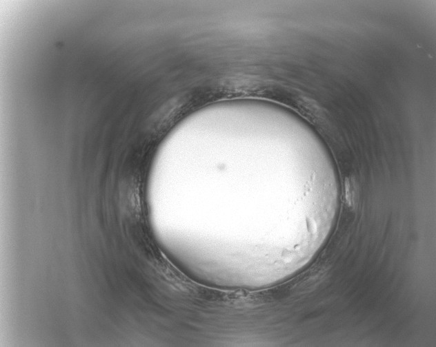 X0000056031155200509170029