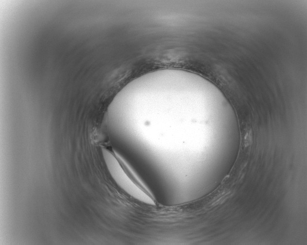 X0000056031156200509170029