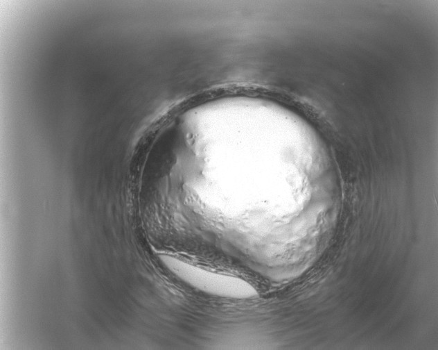 X0000056031159200509170029